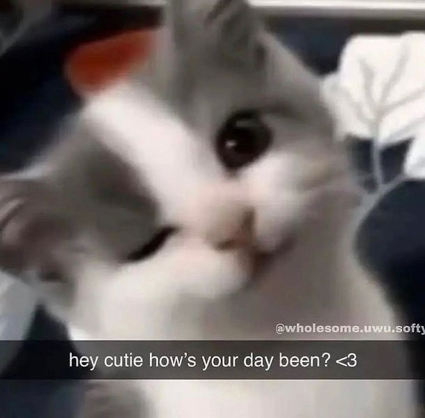 Thumbnail of p-cmpt0arkadg-825548ddfacd4b8b 5