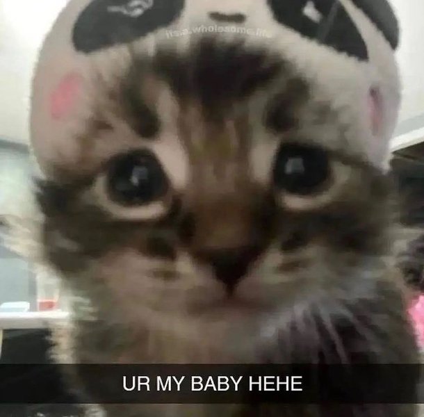 Thumbnail of p-cmpt0arkadg-825548ddfacd4b8b 6