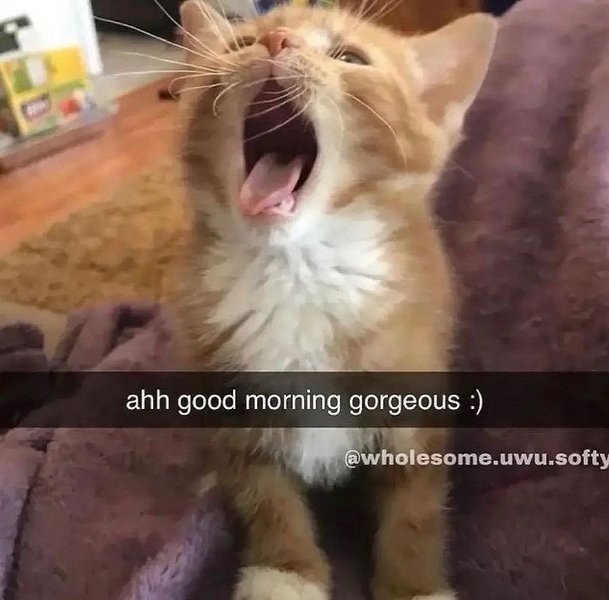 Thumbnail of p-cmpt0arkadg-825548ddfacd4b8b 7