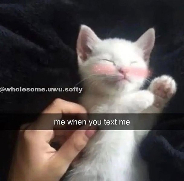 Thumbnail of p-cmpt0arkadg-825548ddfacd4b8b 8