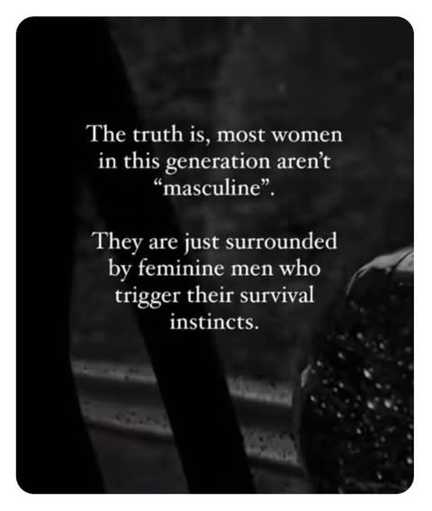 Thumbnail of dog-bgre1iu-82baebf29b8a4b14 0