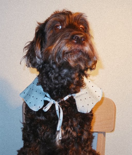 Thumbnail of www-instagram-com-p-dprtpwygmdb 12