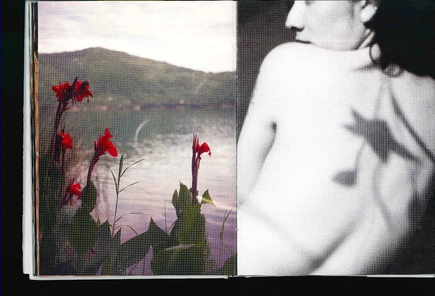 Thumbnail of p-ckogubwsfkt-82d329fdc11d40cf 0