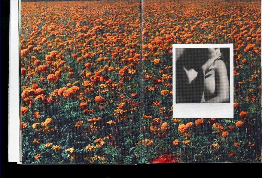 Thumbnail of p-ckogubwsfkt-82d329fdc11d40cf 1