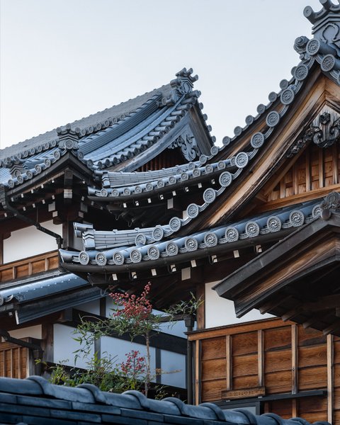 Thumbnail of p-dgfpo46odnd-8364ca056ea7408b 3