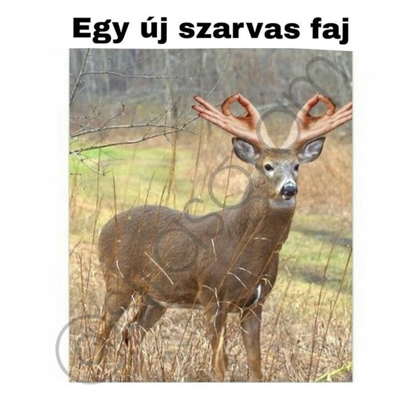 Thumbnail of bq5m0e-g9u4-836f4d141a864c7c 1