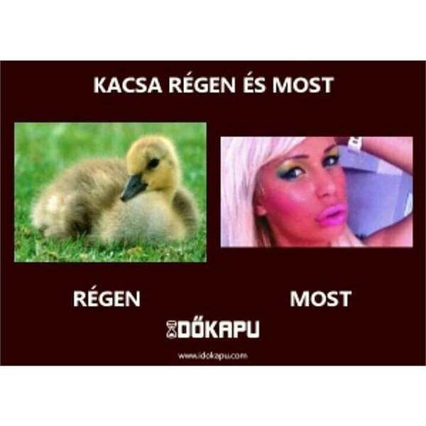 Thumbnail of bq5m0e-g9u4-836f4d141a864c7c 2