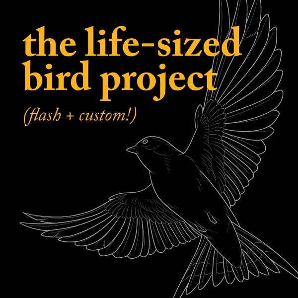 Thumbnail of p-cn7kjwvumiq-8387f68a49e74764 0