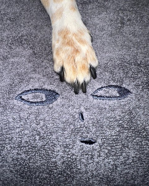 Thumbnail of p-deujin9mu8k-83c424cf8d3f4f34 5