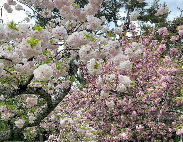 Thumbnail of djjr4rhjh-k-8403c80a83874be4 10