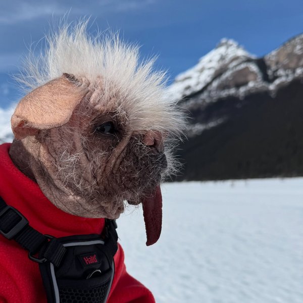 Thumbnail of p-djedjb0ioej-841e503759ef4f47 0