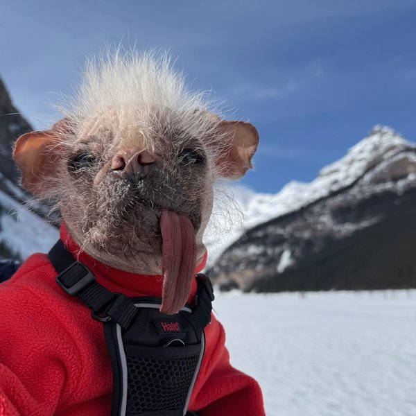 Thumbnail of p-djedjb0ioej-841e503759ef4f47 1