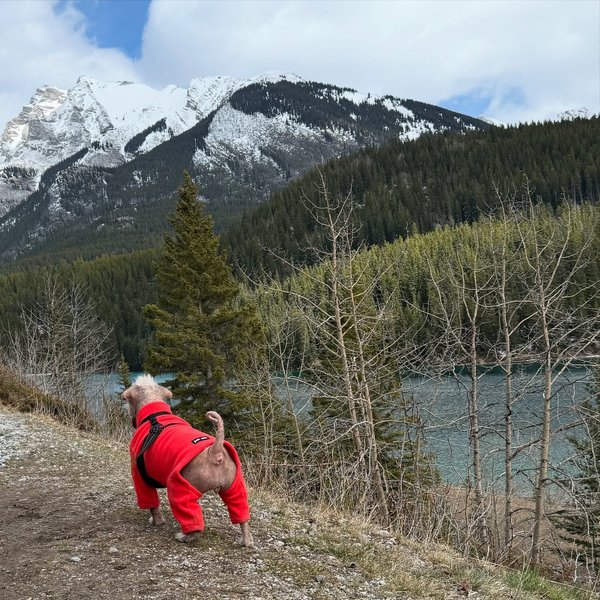 Thumbnail of p-djedjb0ioej-841e503759ef4f47 2