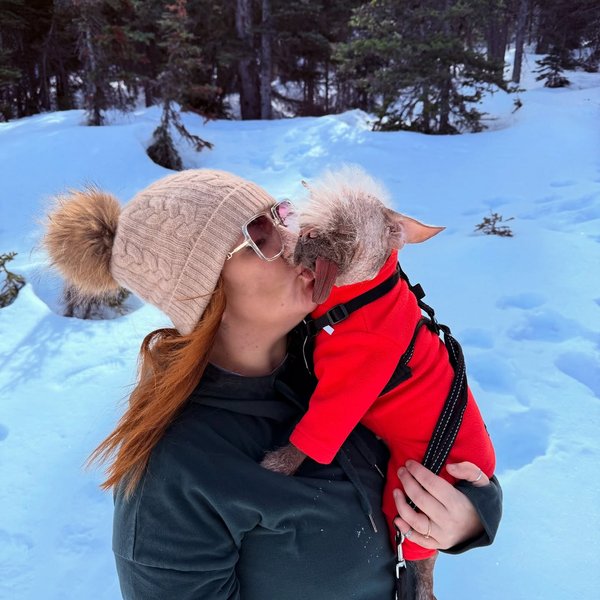 Thumbnail of p-djedjb0ioej-841e503759ef4f47 5