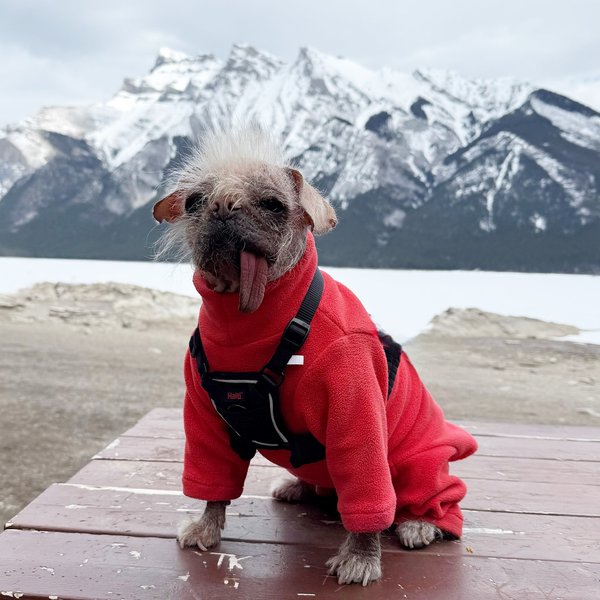 Thumbnail of p-djedjb0ioej-841e503759ef4f47 6