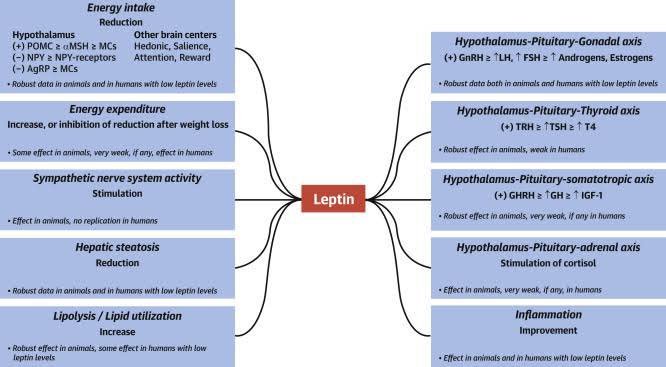 Thumbnail of www-x-com-kieralwellness-status-1777140353994531233-84244025f7214504