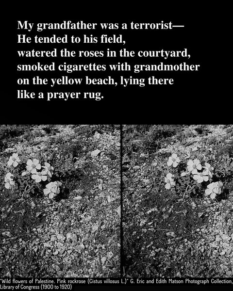 Thumbnail of dfszhp9o-ye-843160cbd384476a 1