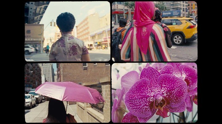 Thumbnail of p-cignjrwdtht-845173dabb9142fc 0