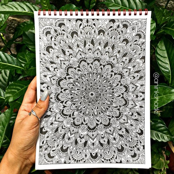 Thumbnail of ldi-o-847c9bdb6ee34d7c 0