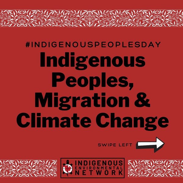 Thumbnail of p-cgp10nzjpdi-848e71dbb50b4272 0