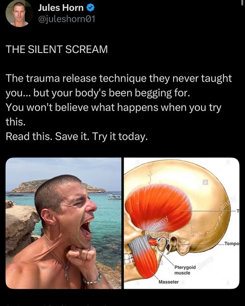 Thumbnail of p-dk7tnuaofit-84b80f2179f04975 0