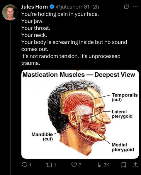 Thumbnail of p-dk7tnuaofit-84b80f2179f04975 1