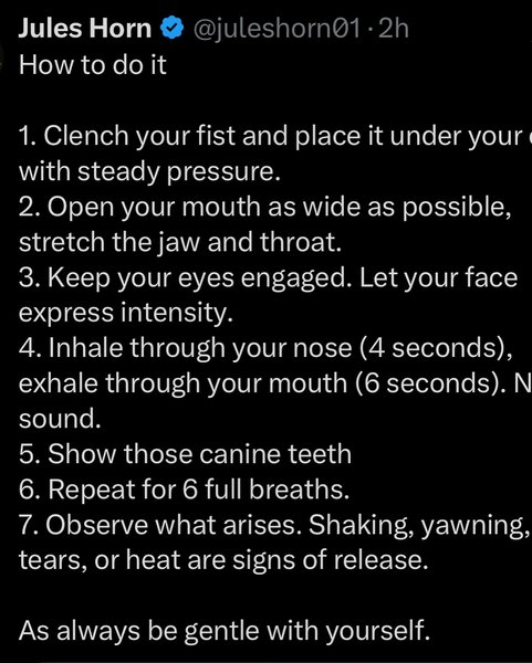 Thumbnail of p-dk7tnuaofit-84b80f2179f04975 3