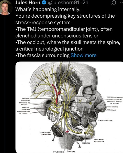Thumbnail of p-dk7tnuaofit-84b80f2179f04975 5