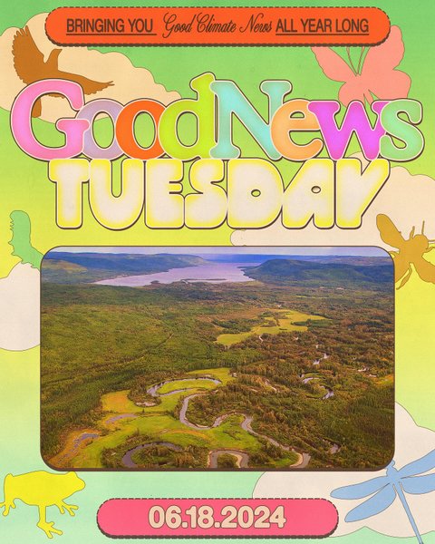 Thumbnail of p-c8xhit5auje-84c06bd3d8e246e0 0