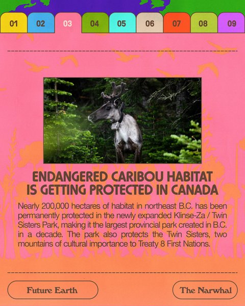 Thumbnail of p-c8xhit5auje-84c06bd3d8e246e0 3