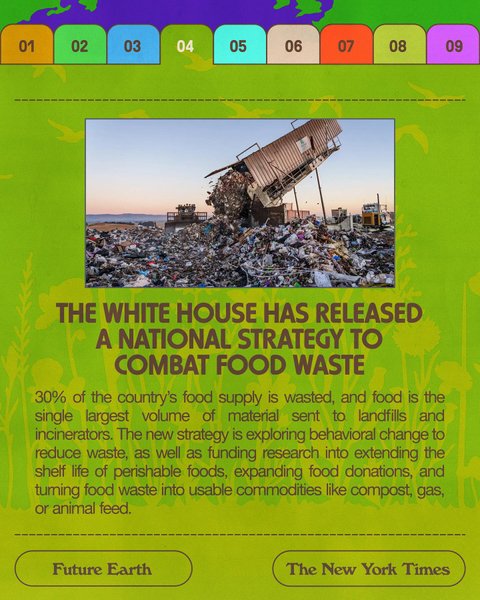 Thumbnail of p-c8xhit5auje-84c06bd3d8e246e0 4