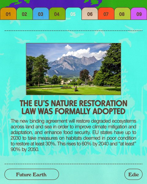 Thumbnail of p-c8xhit5auje-84c06bd3d8e246e0 5