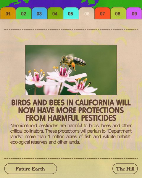 Thumbnail of p-c8xhit5auje-84c06bd3d8e246e0 6