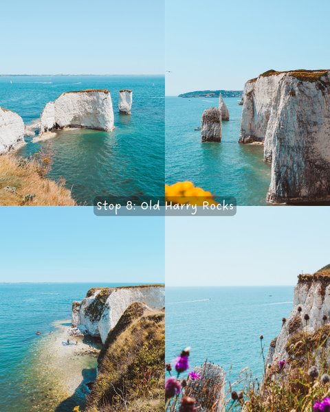 Thumbnail of p-dmf1jgfiknp-84c779a72470483b 9