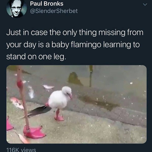 Thumbnail of p-b1btmuongrb-84dca6841cef4b0b 0