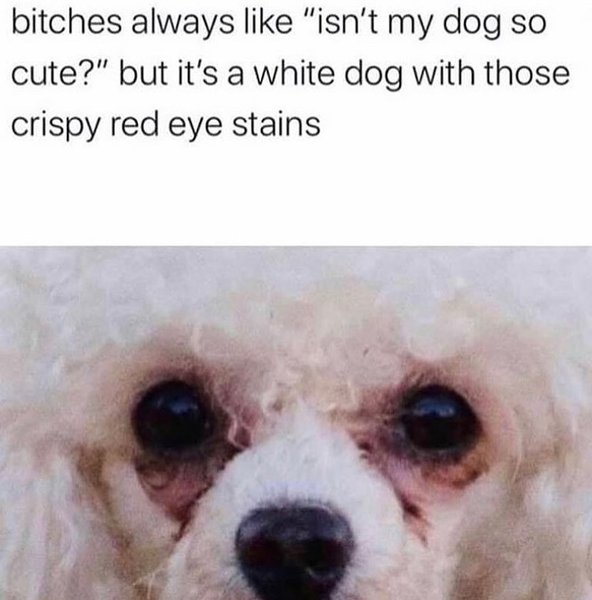 Thumbnail of p-dg3xrmgvjya-84ecf5f12b454a94 0