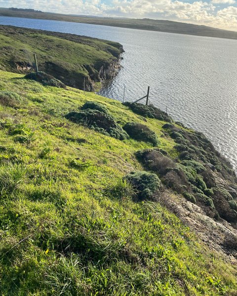 Thumbnail of p-cxuoxjbvfj3-84fe284f1eb5488f 5