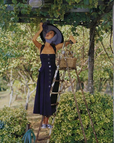 Thumbnail of p-c8saztdgpkq-85154670ad6040a0 5