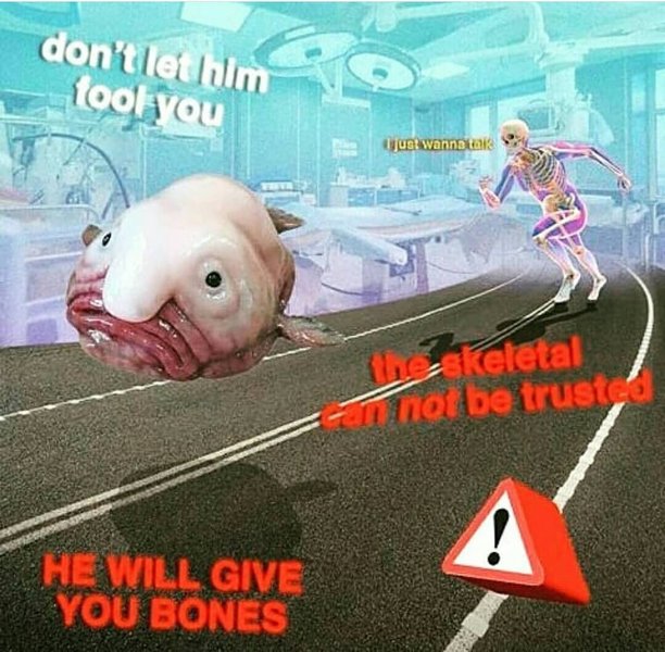 Thumbnail of p-bztdwwnag9f-855071e0726d48b3 0