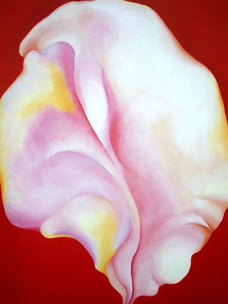 Thumbnail of rose-florence-roseflorence-8579a495d8af4546 2