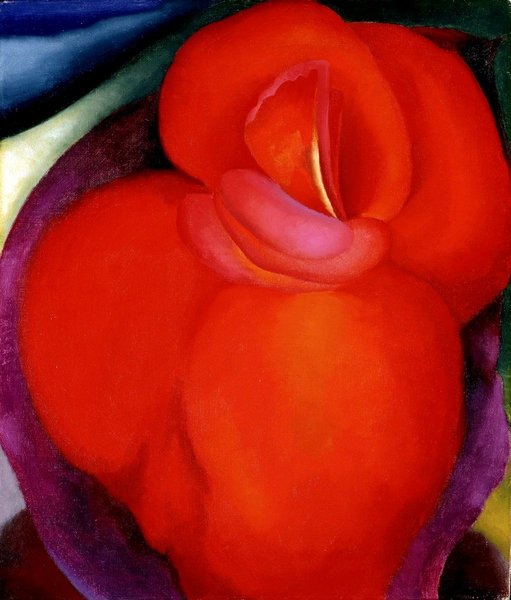 Thumbnail of rose-florence-roseflorence-8579a495d8af4546 3