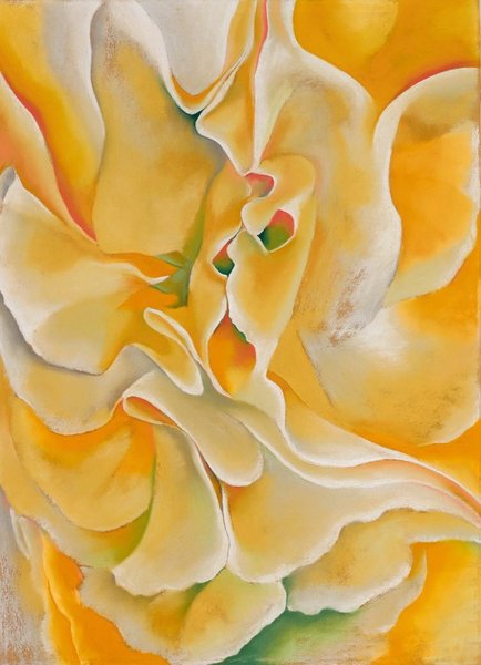 Thumbnail of rose-florence-roseflorence-8579a495d8af4546 4