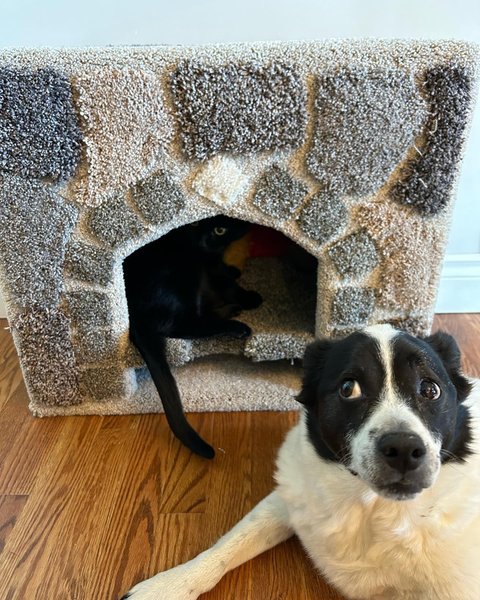 Thumbnail of p-csoztkap54n-85872e2b2aa445ad 3