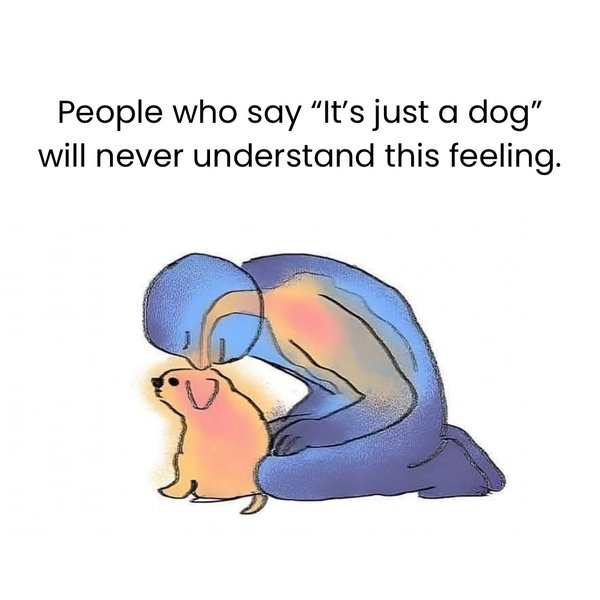 Thumbnail of p-dgmeykjs1ik-85a89151cc0342eb 0