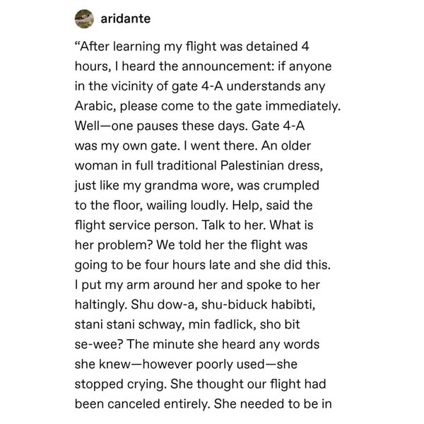 Thumbnail of p-b5tpnkmh0w5-86146b35cede4b24 0