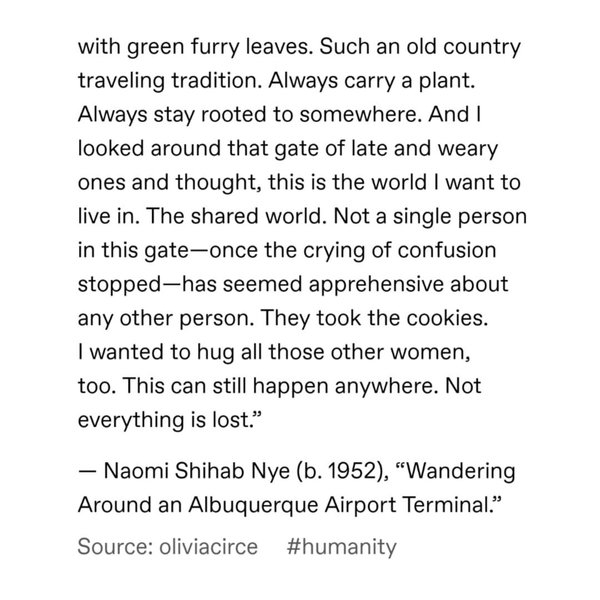 Thumbnail of p-b5tpnkmh0w5-86146b35cede4b24 3