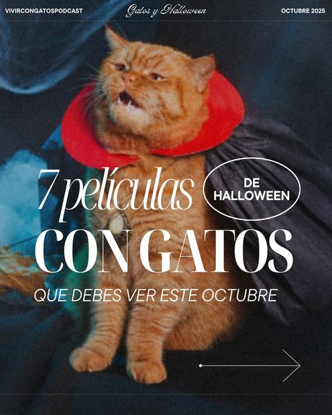 Thumbnail of p-dpepqwtkqsm-8623cd0748014a59 0