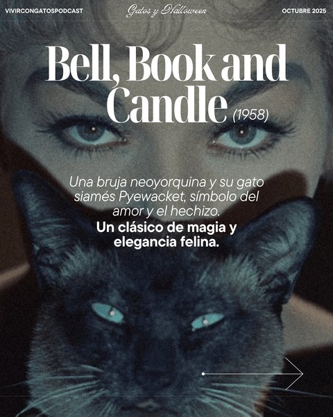 Thumbnail of p-dpepqwtkqsm-8623cd0748014a59 2