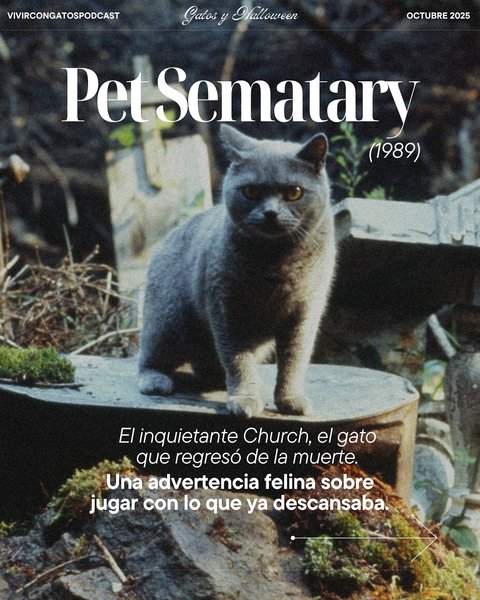 Thumbnail of p-dpepqwtkqsm-8623cd0748014a59 5