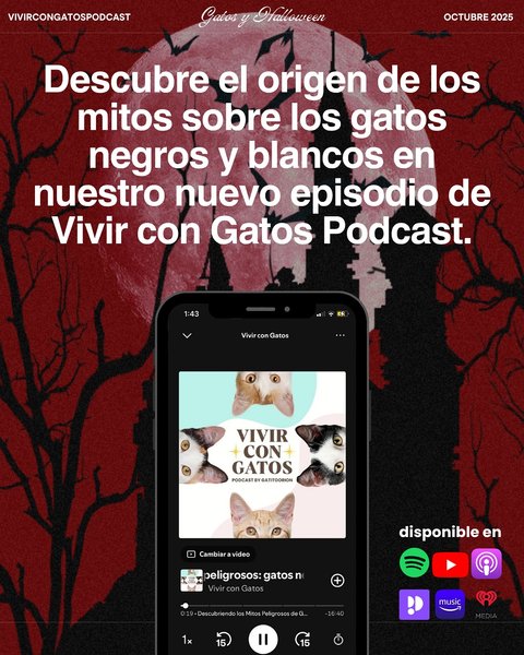 Thumbnail of p-dpepqwtkqsm-8623cd0748014a59 8